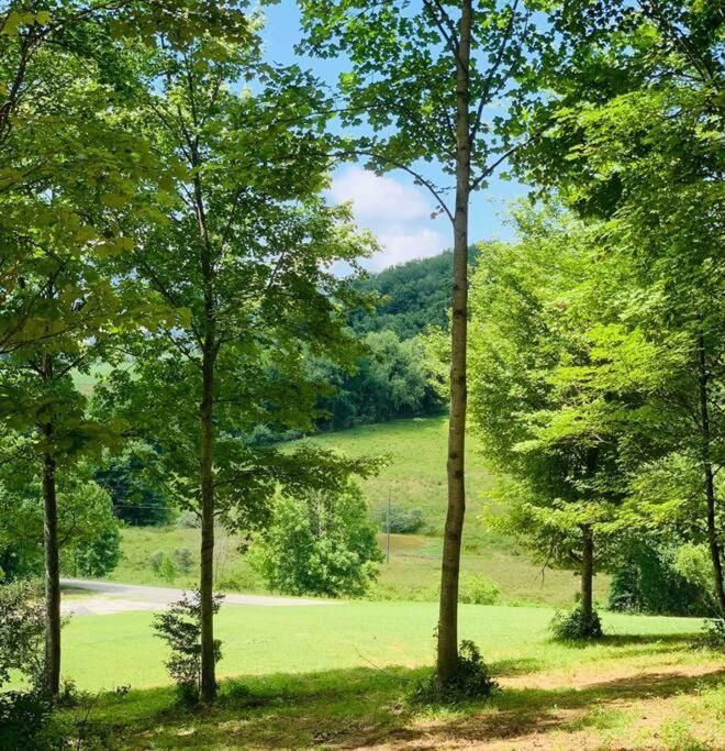 Foxtail Orchards - The Fox Den Villa Tazewell Buitenkant foto